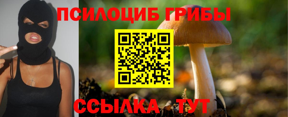 наркотики  Псилоцибиновые грибы прущие грибы  Жигулёвск  Вход с VPN  Псилоцибиновые грибы Magic Shrooms 